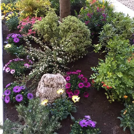 Gio Colosseo - Celio