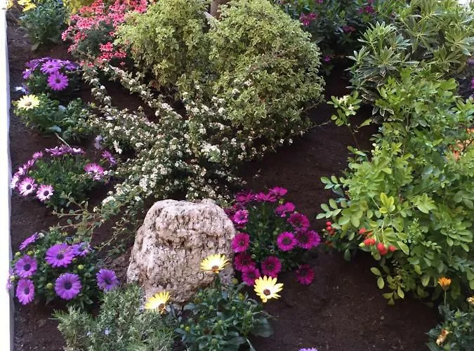 Gio Colosseo - Celio