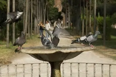 Gio Colosseo - Celio